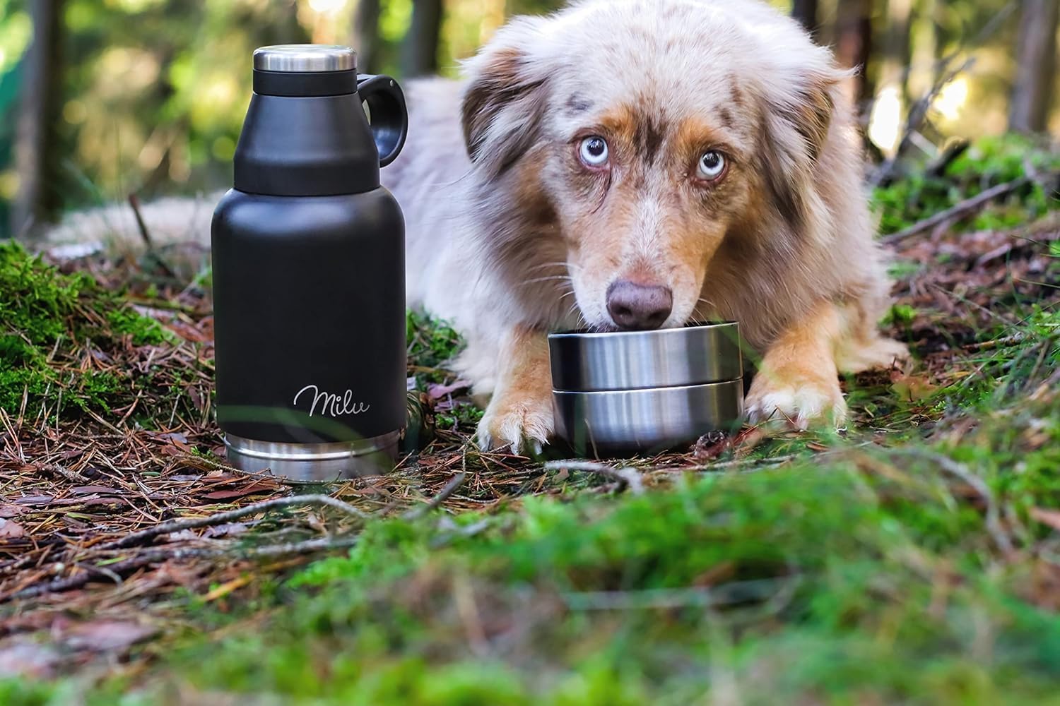Hundetrinkflasche 950ml personalisiert - Image 3