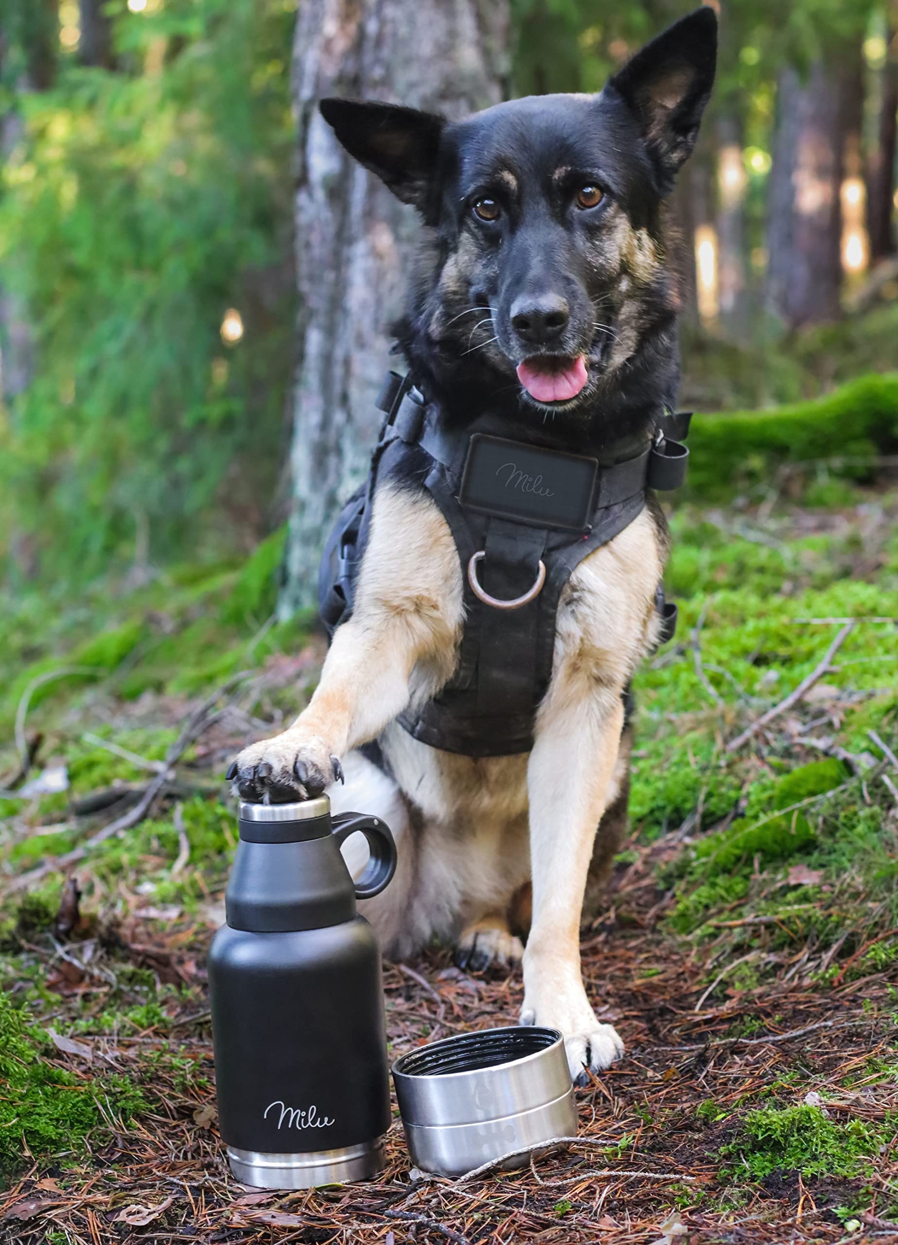 Hundetrinkflasche 950ml personalisiert - Image 5